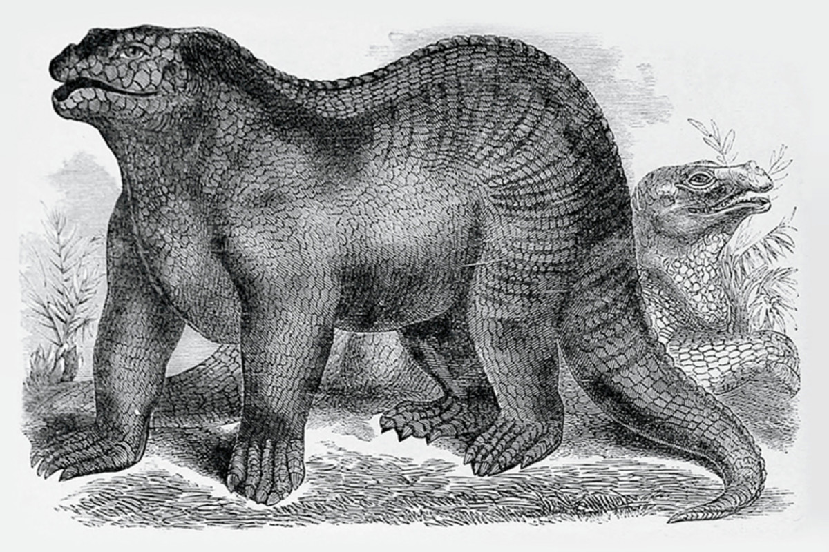 Iguanodon dinosaur walking through a prehistoric landscape during the Early Cretaceous period